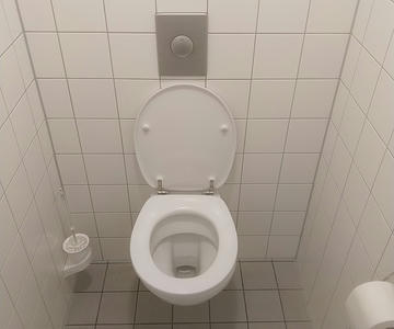 bad_toilette
